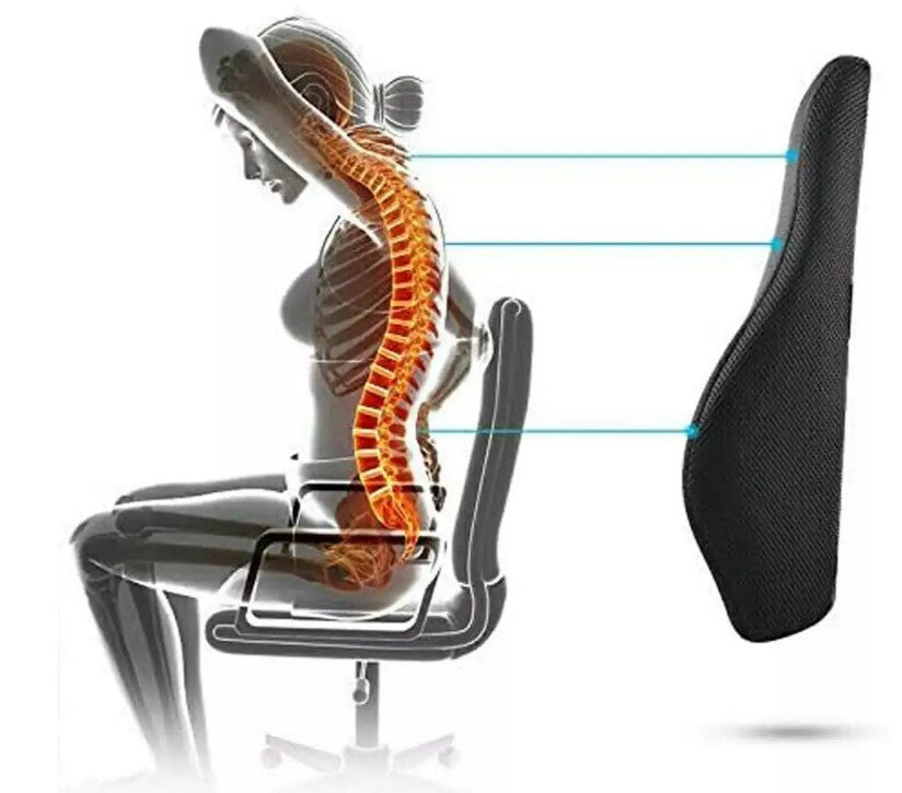 ErgoComfort Lumbar Support Pillow